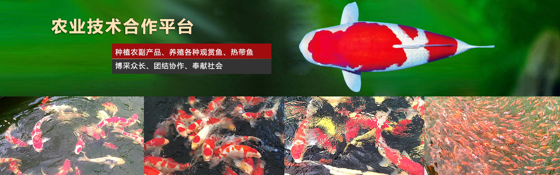 谈球吧体育app